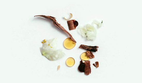 CORPUS Natural Cedar Flora Natural Deodorant 75g, Cedar Flora Natural Deodorant 75g, Corpus Natural, PourHommies.