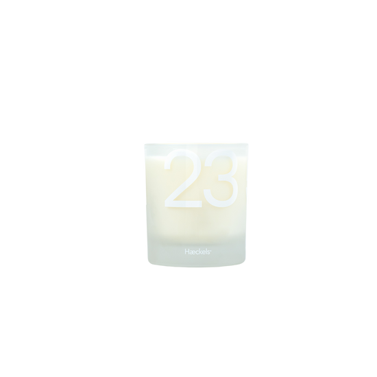 Haeckels Margate Dreamland Candle, Dreamland Candle, Haeckels Margate Self care, pourhommies.
